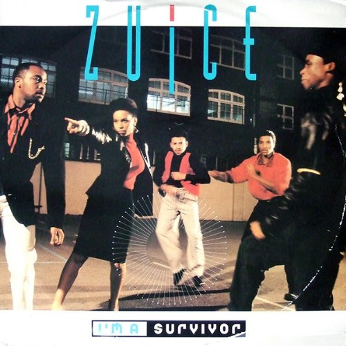 Zuice - I'm A Survivor - Used Vinyl Record 12" image 1