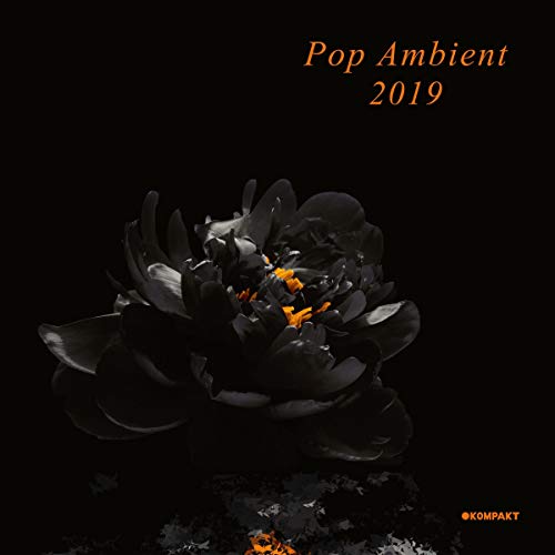 Various - Pop Ambient 2019 - Vinyl Record2D image 1