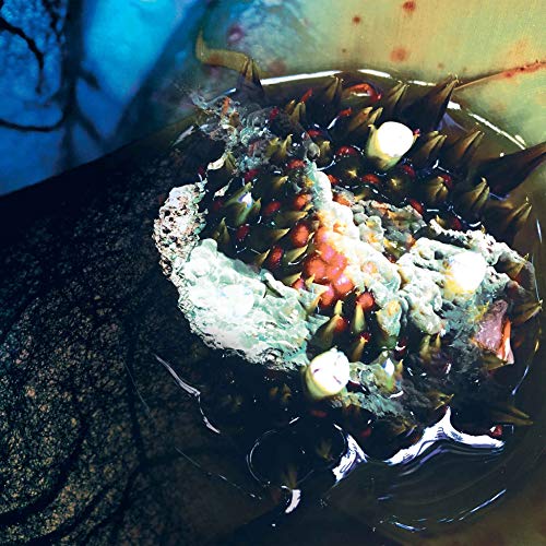 JULIA REIDY - IN REAL LIFE - Vinyl Record image 1