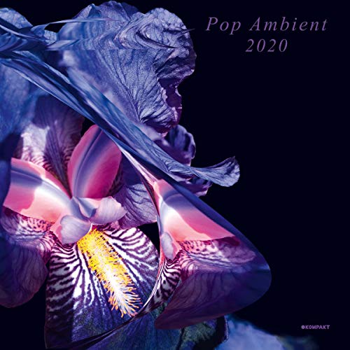 VARIOUS ARTISTS - POP AMBIENT 2020 - Vinyl Record image 1