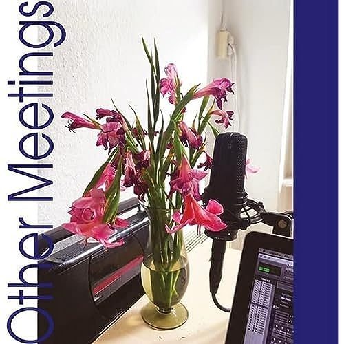 CRYS COLE - OTHER MEETINGS - Vinyl Record image 1
