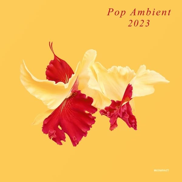 POP AMBIENT 2023 / V - CD image 1