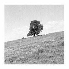 BLANK GLOSS - CORNERED - CD image 1