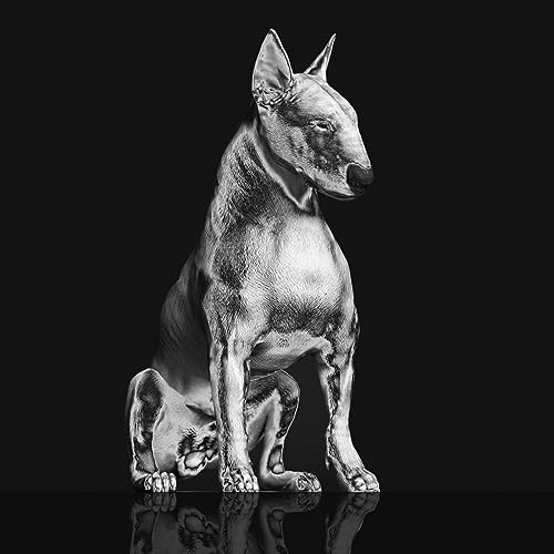 RISKEE & THE RIDICUL - PLATINUM STATUE - CD image 1