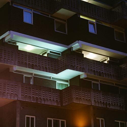 DAMPE - GARDEN (FT. ASOK REMIX) - Vinyl Record 12 image 1