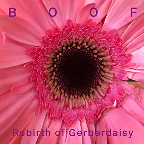BOOF - REBIRTH OF GERBERDAISY - Vinyl Record image 1