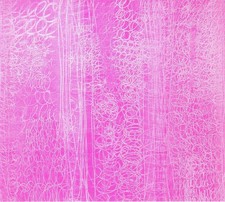 FEAR RATIO - SLINKY - CD image 1
