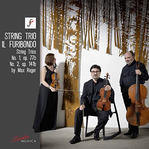 Max Reger - : String Trios No. 1 Op. 77b/No. 2 Op. 141b - CD image 1