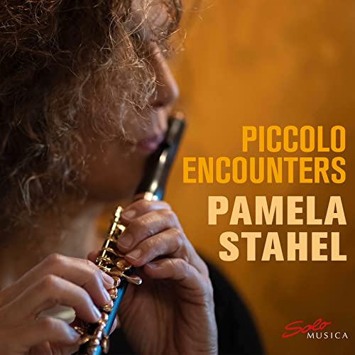 VARIOUS - PICCOLO ENCOUNTERS - CD image 1