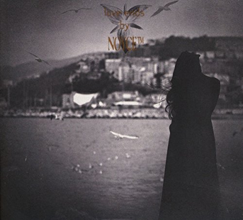 Noyce - Love Ends - CD image 2