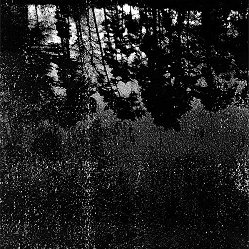 GELDERSE POORT (LP+CD) - Vinyl Record image 1