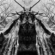 RULAMAN - TO SERVE THE DUNE (TRANS GREEN VINYL) - Vinyl Record image 1