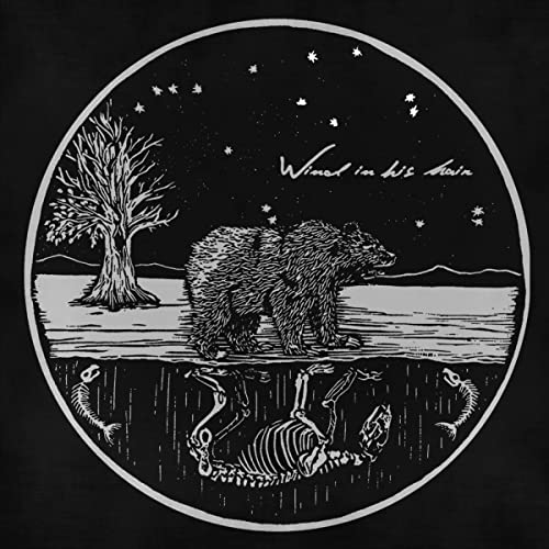 WIND IN HIS HAIR - FUTURE PRIMITIVES - CD image 1