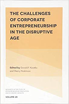 The Challenges of Corporate Entrepreneurship in the Disruptive Age : 28