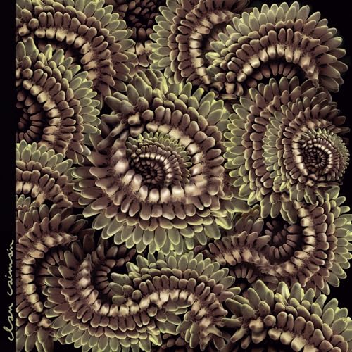 CAIMAN - PICA PAU (JAPANESE IMPORT/STICKER) - Vinyl Record image 1