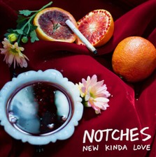 NOTCHES - NEW KINDA LOVE / ALMOST RUINED EVERYTHING - CD image 1
