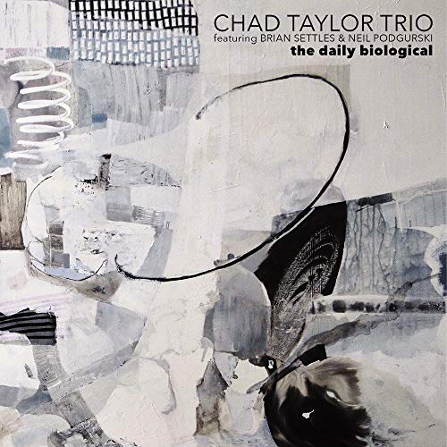 CHAD TAYLOR TRIO FT. - DAILY BIOLOGICAL  THE - CD image 1