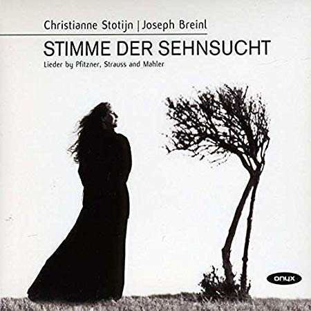 Stimme Der Sehnsucht