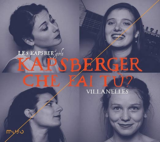 LES KAPSBERGIRLS - KAPSBERGER CHE FAI TU? (VILLA - CD image 1