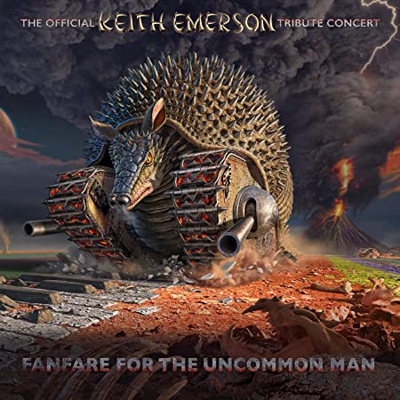 Multiple Artist - FANFARE FOR THE UNCOMMON MAN ~ - CD image 1