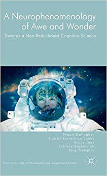 A Neurophenomenology of Awe and Wonder : Towards a Non-Reductionist Cognitive Science