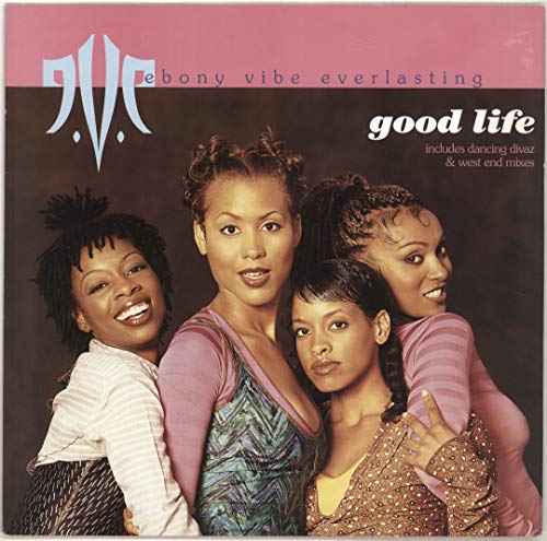 Ebony Vibe Everlasti - Good Life - Used Vinyl Record 12" image 1