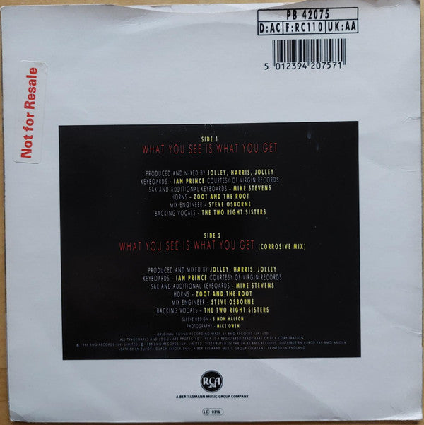 Glen Goldsmith - What You See Is What You Get - Used Vinyl Record 7" image 10