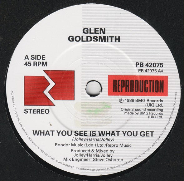 Glen Goldsmith - What You See Is What You Get - Used Vinyl Record 7" image 3