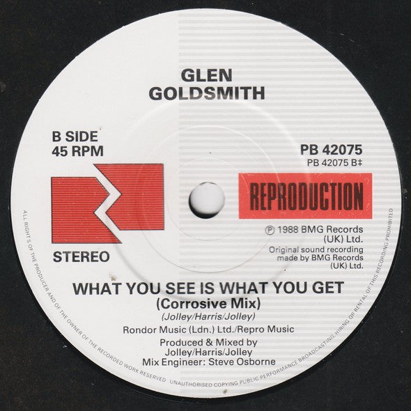 Glen Goldsmith - What You See Is What You Get - Used Vinyl Record 7" image 4