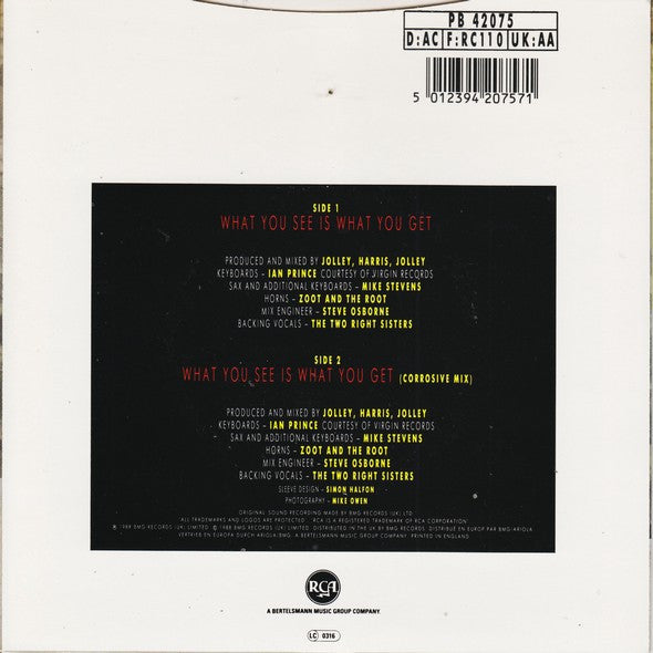 Glen Goldsmith - What You See Is What You Get - Used Vinyl Record 7" image 7