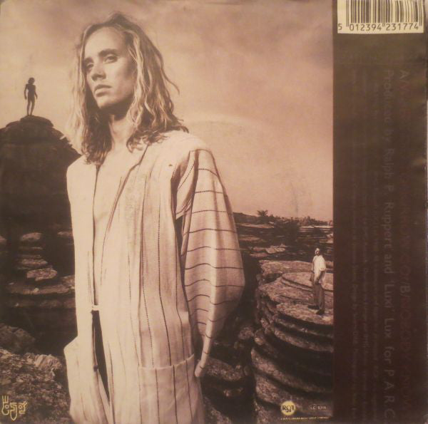 Ellis - Where Did Tomorrow Go? - Used Vinyl Record 7" image 6