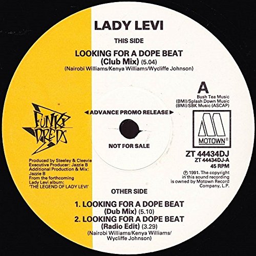 Lady Levi - Looking For A Dope Beat - Used Vinyl Record 12" image 1