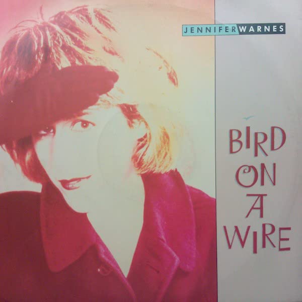 Jennifer Warnes - Bird On A Wire - Used Vinyl Record 12" image 1