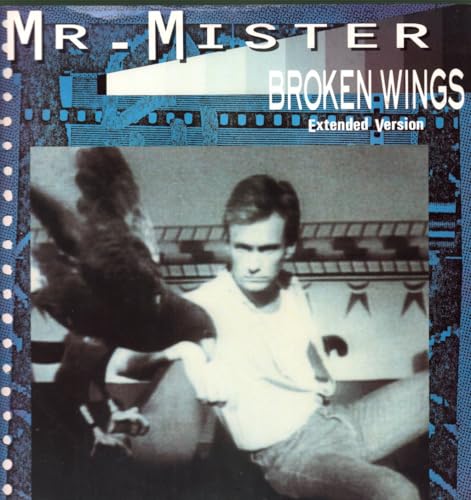 Mr. Mister - Broken Wings - Used Vinyl Record 12" image 1