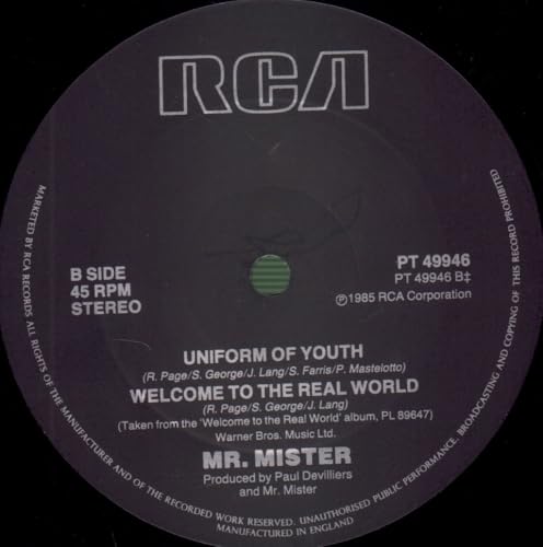 Mr. Mister - Broken Wings - Used Vinyl Record 12" image 4