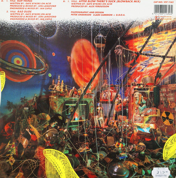 Gaye Bykers On Acid - Hot Thing - Used Vinyl Record 12" image 2