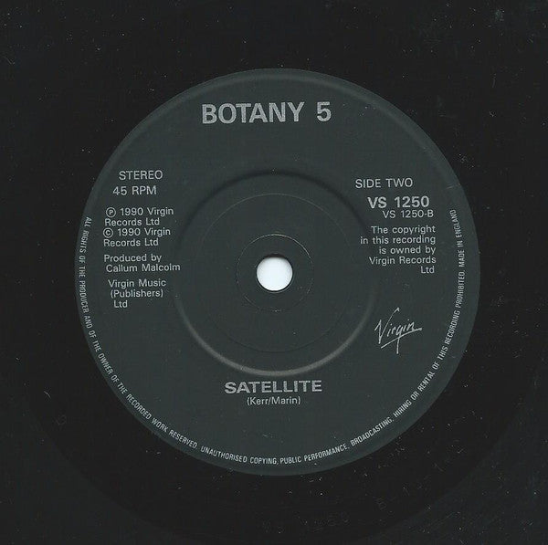 Botany 5 - Love Bomb - Used Vinyl Record 7" image 4