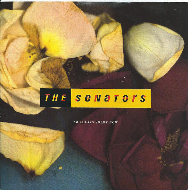Senators - I'm Always Sorry Now - Used Vinyl Record 7" image 5
