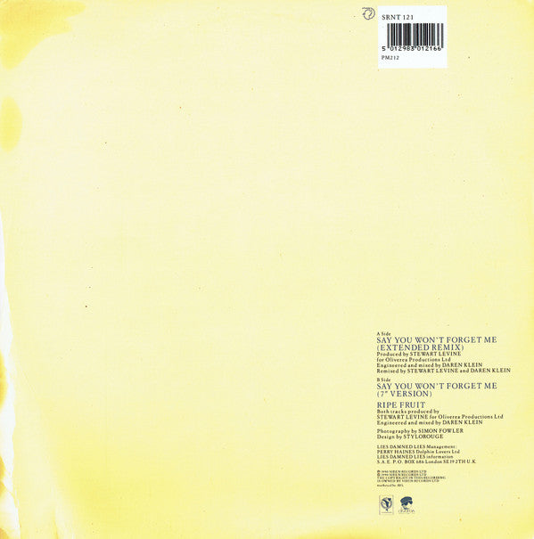 Lies Damned Lies - Say You Won't Forget Me - Used Vinyl Record 12" image 2