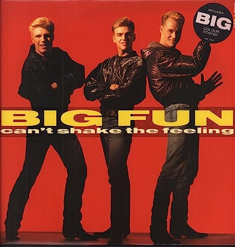 Big Fun - Can't Shake The Feeling - Used Vinyl Record 12" image 1