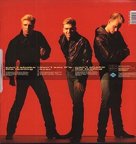 Big Fun - Can't Shake The Feeling - Used Vinyl Record 12" image 2