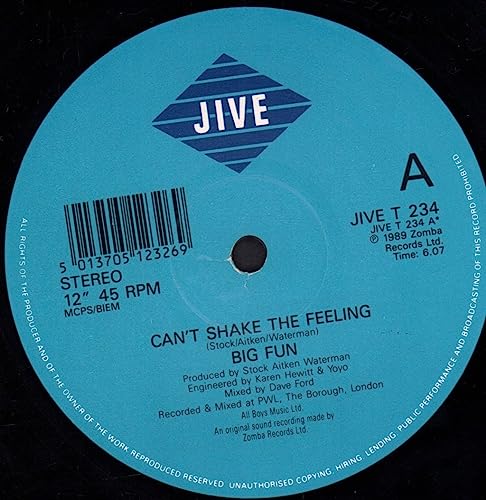Big Fun - Can't Shake The Feeling - Used Vinyl Record 12" image 3