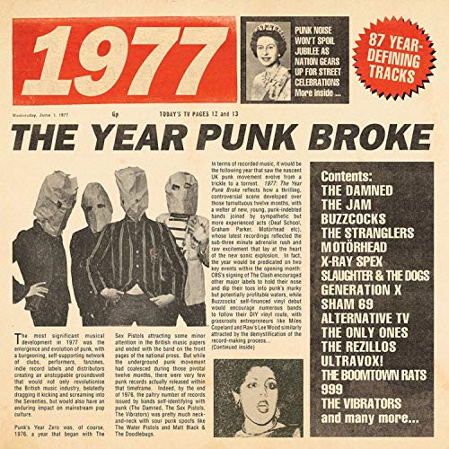 Various Artists - 1977: The Year Punk Broke - CD image 1