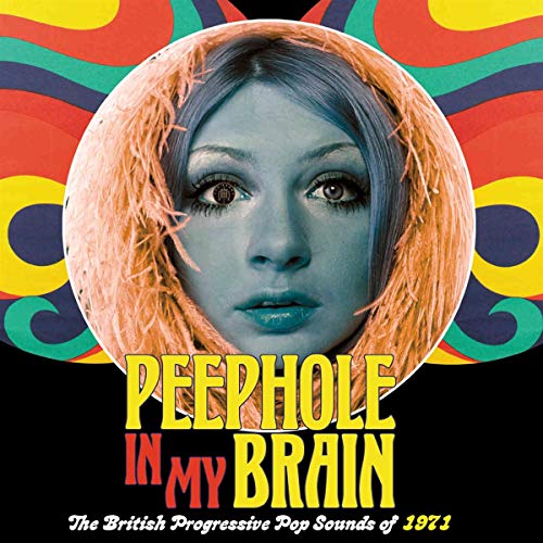 VARIOUS ARTISTS - PEEPHOLE IN MY BRAIN ~ THE BRI - CD image 1