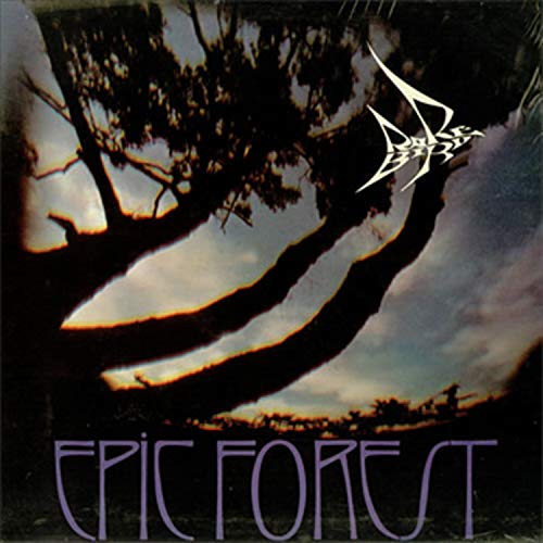 Rare Bird - Epic Forest - CD image 1