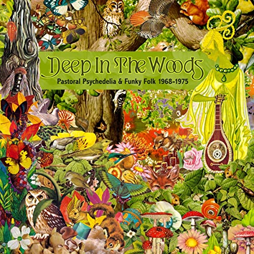 VARIOUS ARTISTS - DEEP IN THE WOODS - PASTORAL PSYCHEDELIA AND FUNKY F image 1