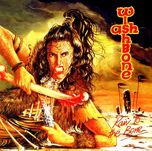 Wishbone Ash - Raw To The Bone - CD image 1