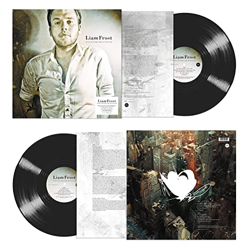 LIAM FROST - WE AINT GOT NO MONEY HONEY  B - Vinyl Record image 2