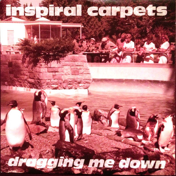 Inspiral Carpets - Dragging Me Down - Used Vinyl Record 7" image 1