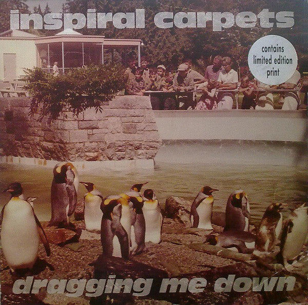 Inspiral Carpets - Dragging Me Down - Used Vinyl Record 12" image 1